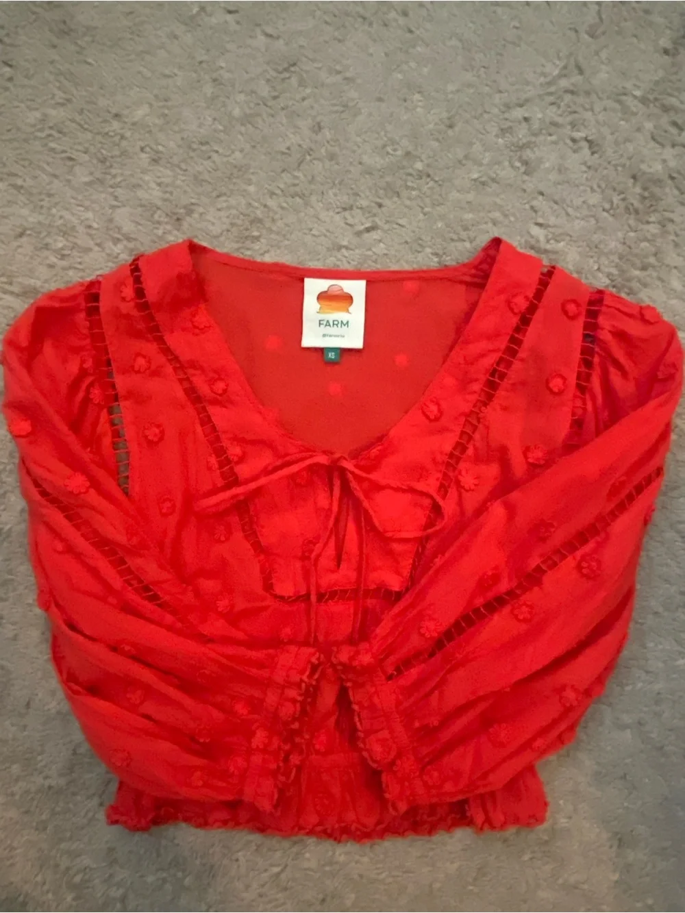 FARM Rio Vibrant Red Embroidered Puff-Sleeve Blouse